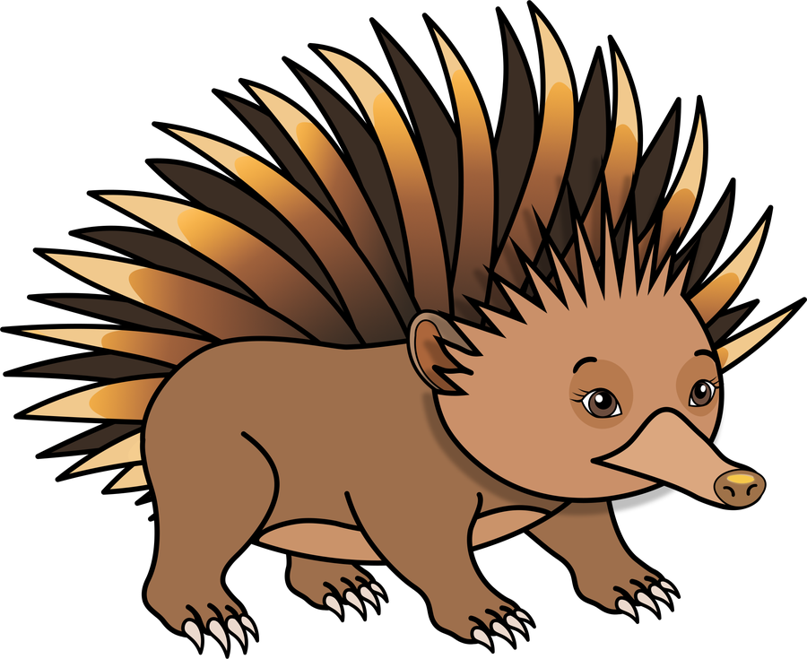 Edna the echidna, final grounded pose
