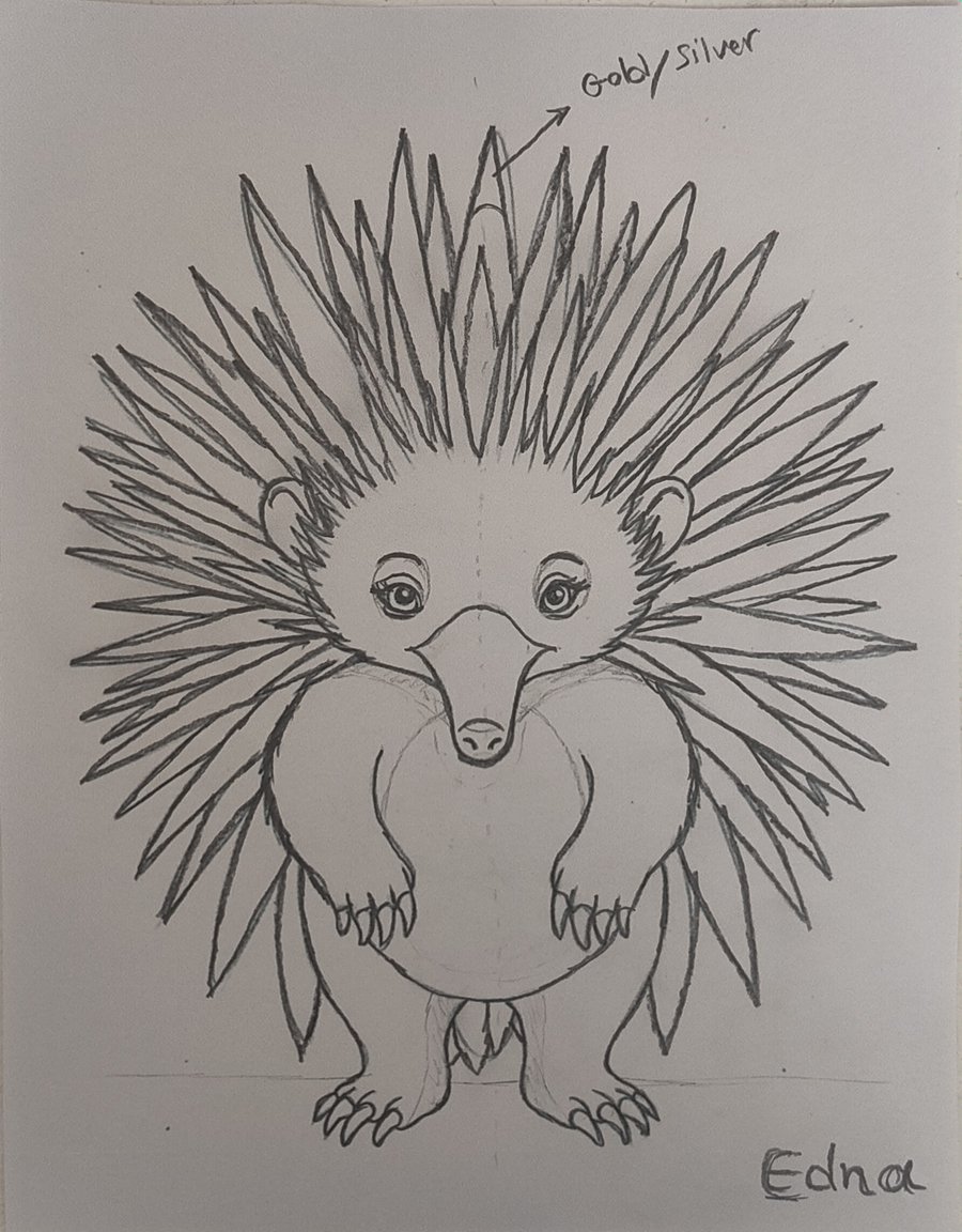 Edna the echidna, first pencil sketch by Mary Hejazi