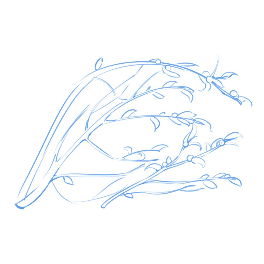 Pencil sketch of a ghost gum branch with leaves