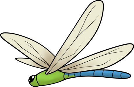 Dragonfly with iridescent wings