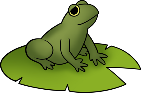 Frog sitting on a lily pad