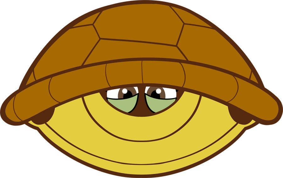 Toby the tortoise tucked in his shell, eyes peeking out